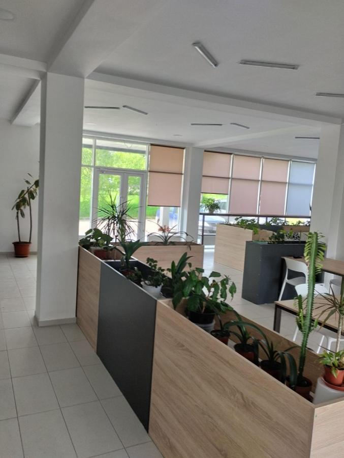 Park-Hotel كاهول المظهر الخارجي الصورة